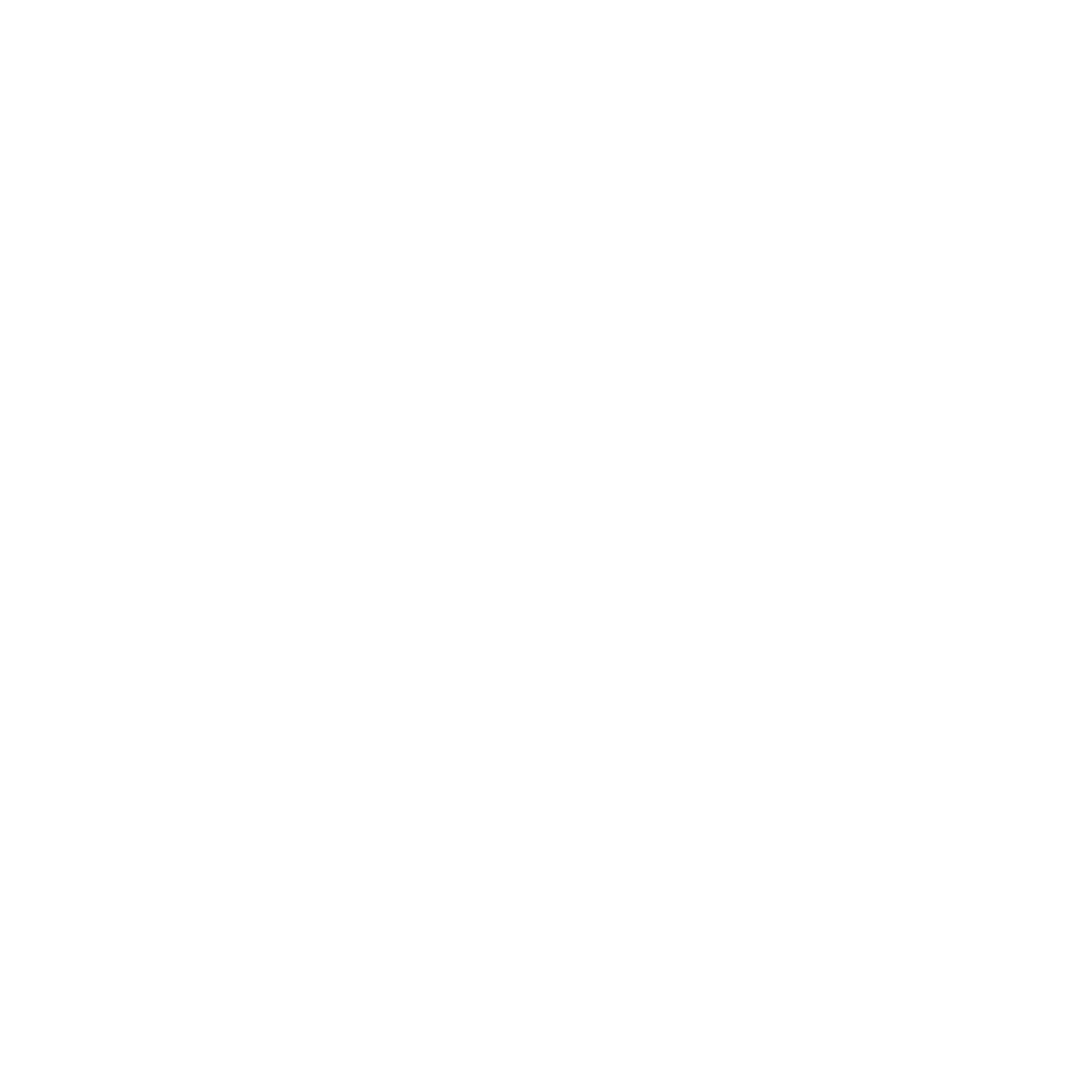 Cn Professionals