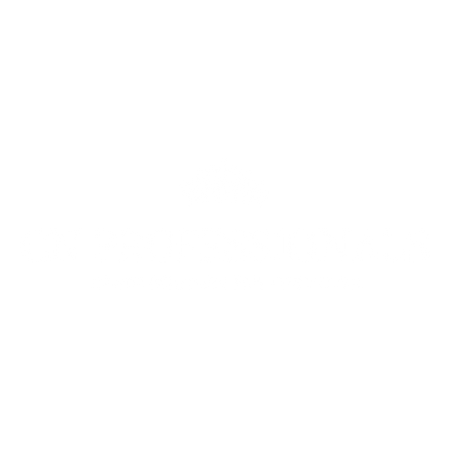 Cn Professionals